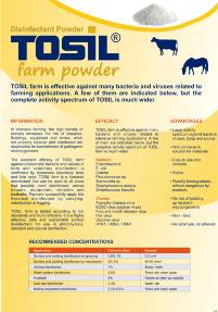 TOSIL farm cattle pic